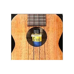 Oasis Plus Luftfuktare för ukulele. Ett måste under vintern