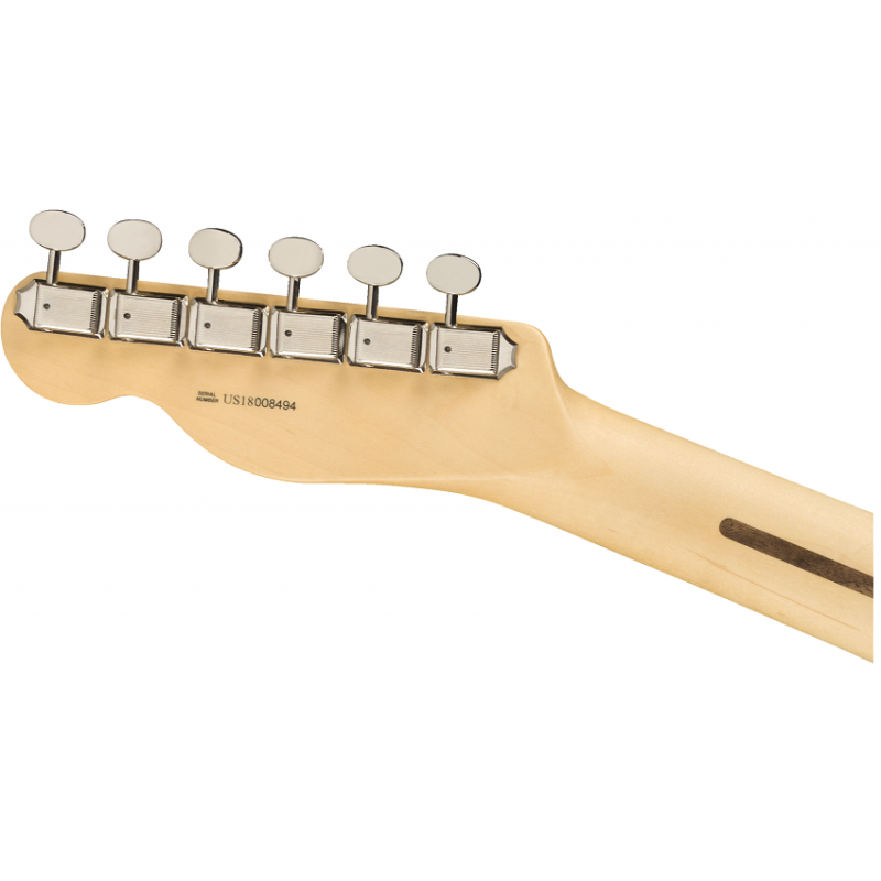 Fender American Performer Telecaster Maple neck with gigbag