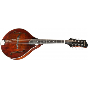 Eastman MD505 A-Style Mandolin med gigbag
